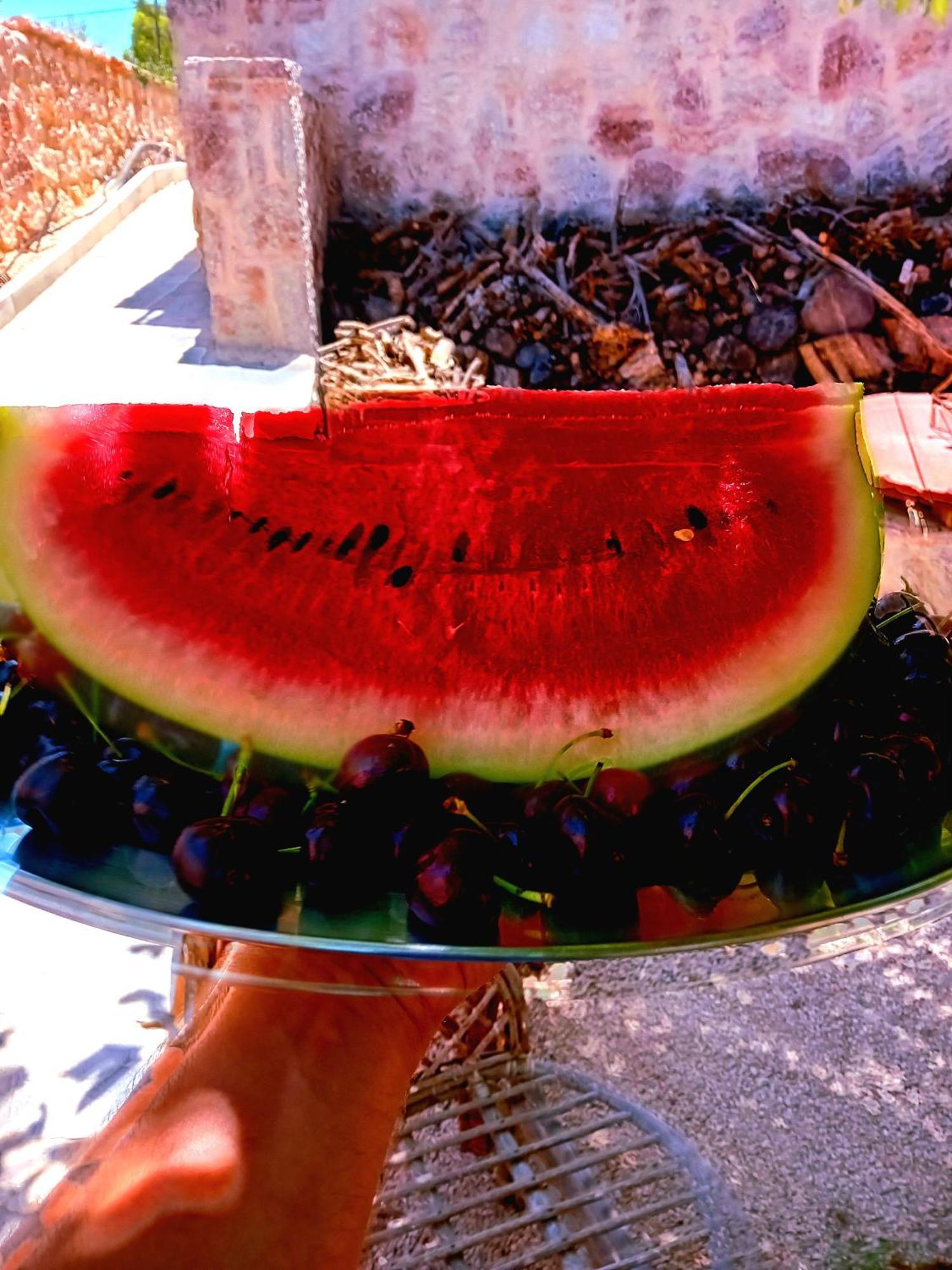 Lucidum Villa Rhodian Hospitality & Gastronomy ฟาลิรากี ภายนอก รูปภาพ